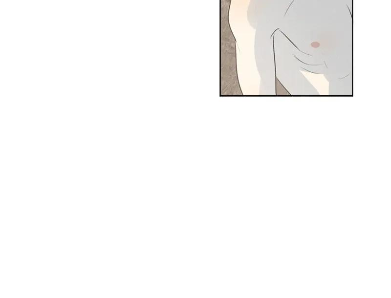 第 101 页