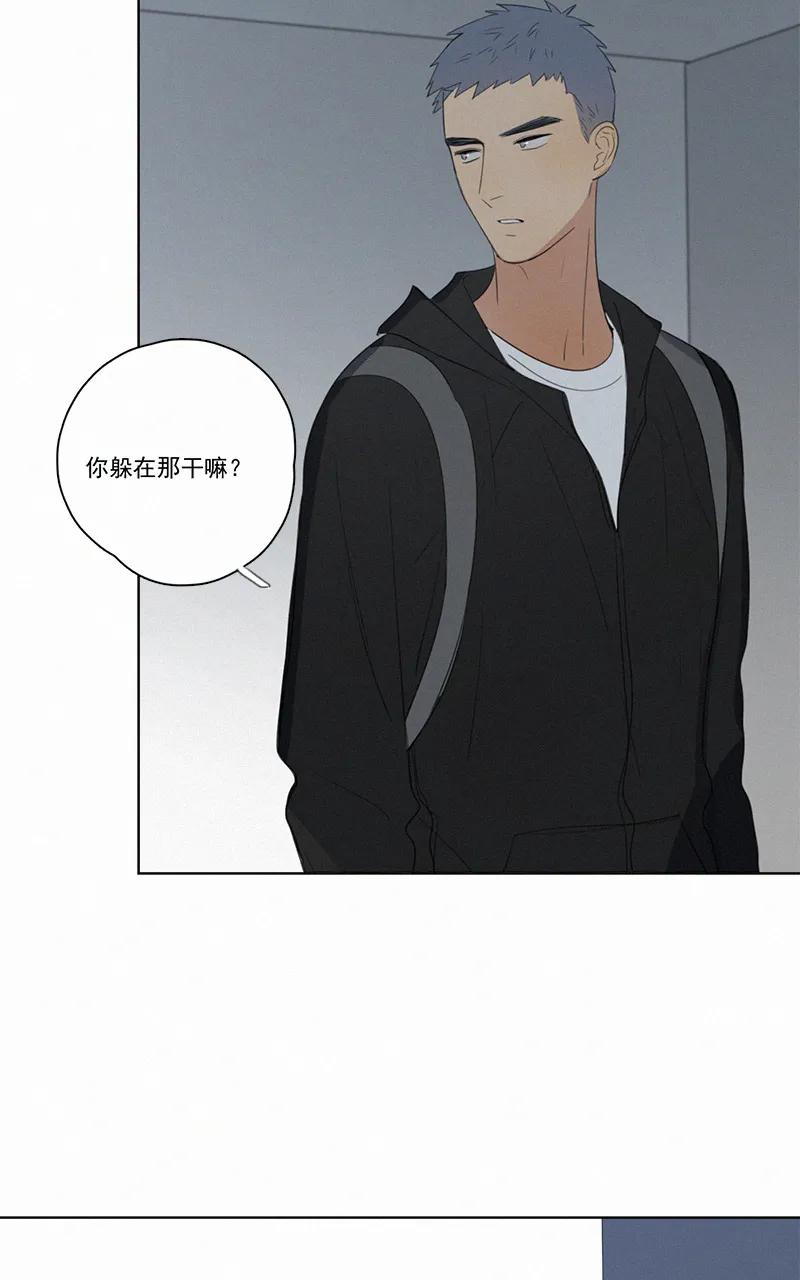 第 41 页