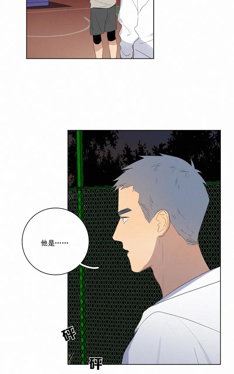 第 36 页