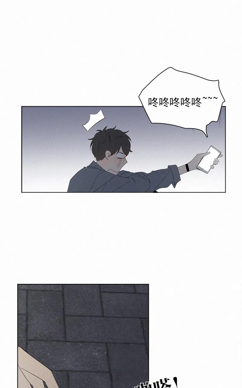 第 48 页