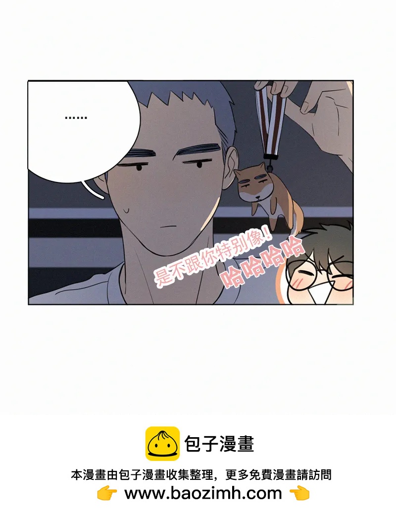 第 50 页