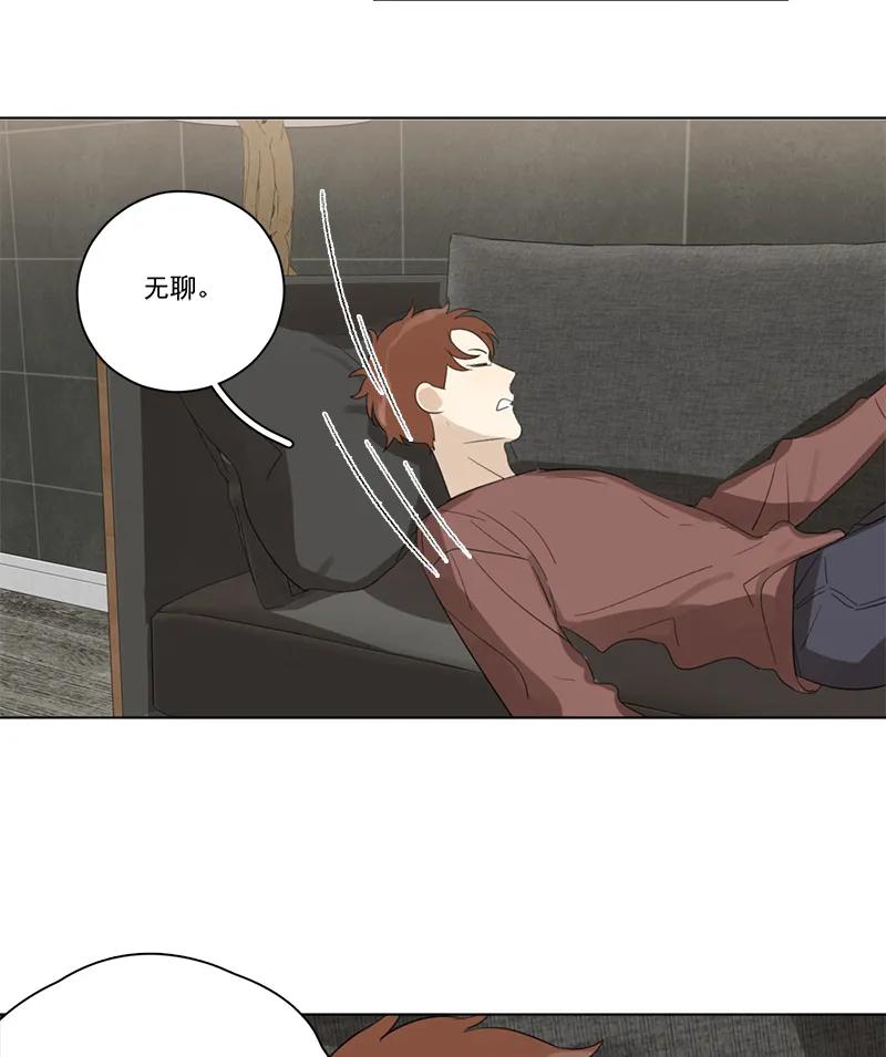第 51 页