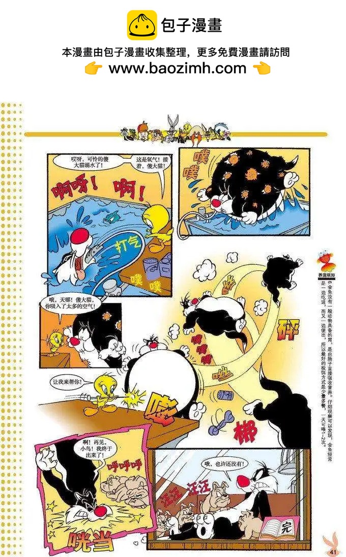 第 6 页