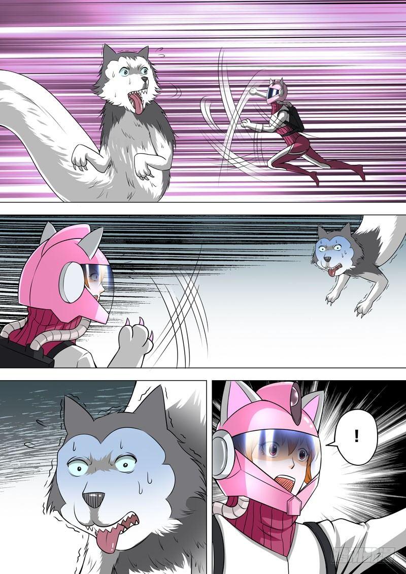 第 7 页