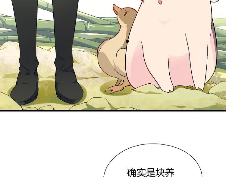 第 115 页