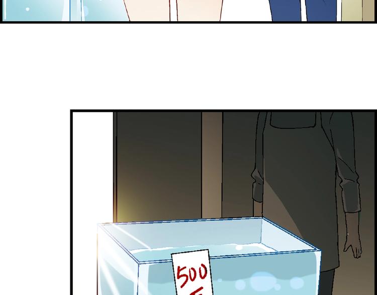 第 91 页