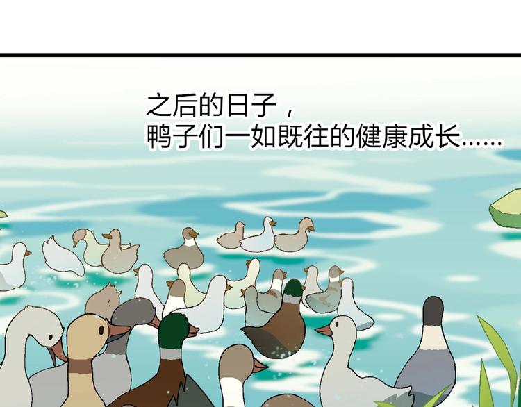 第 110 页