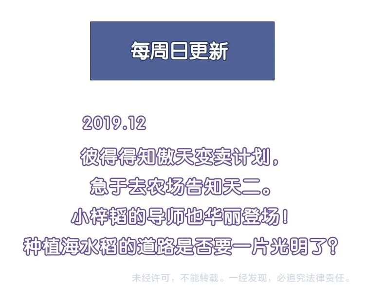 第 146 页
