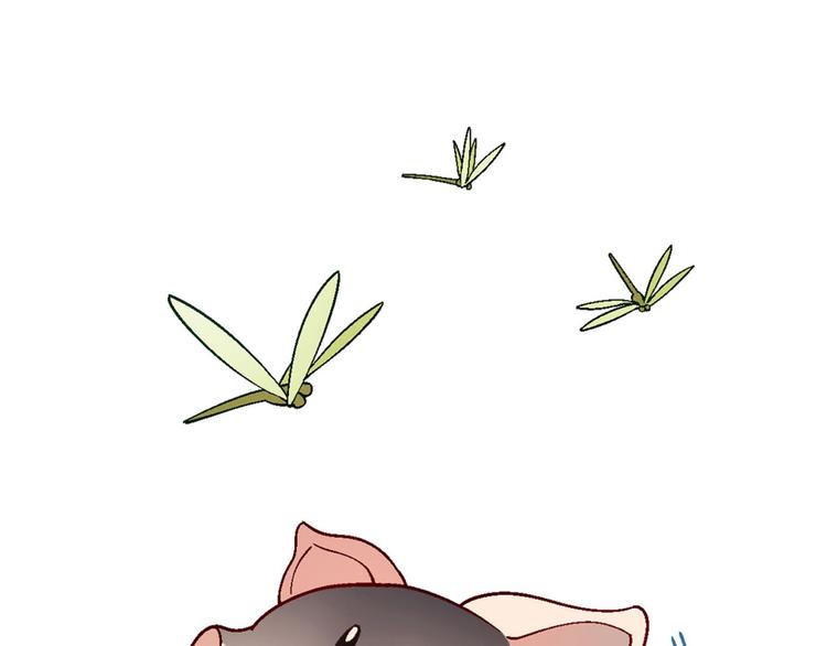 第 79 页