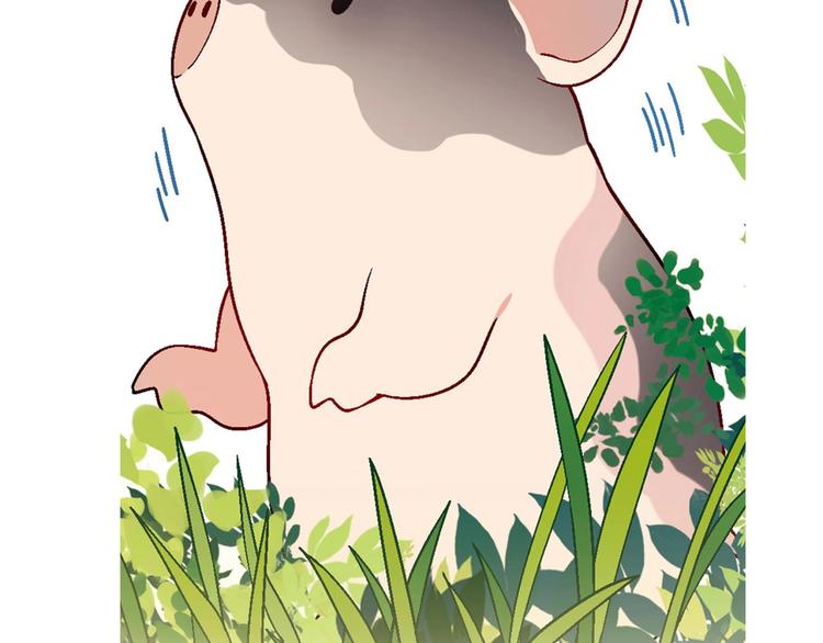 第 80 页