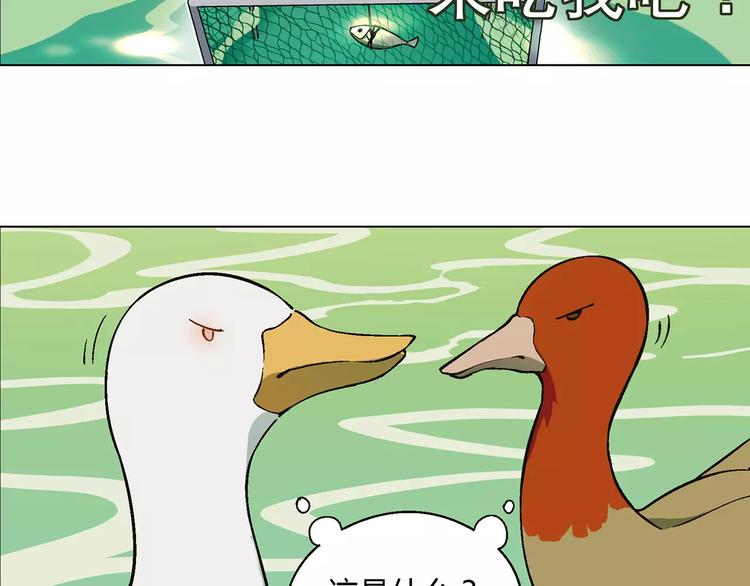 第 113 页