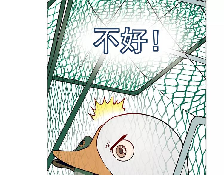 第 123 页