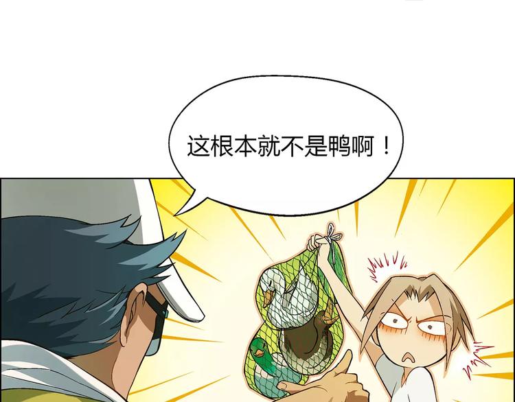 第 61 页