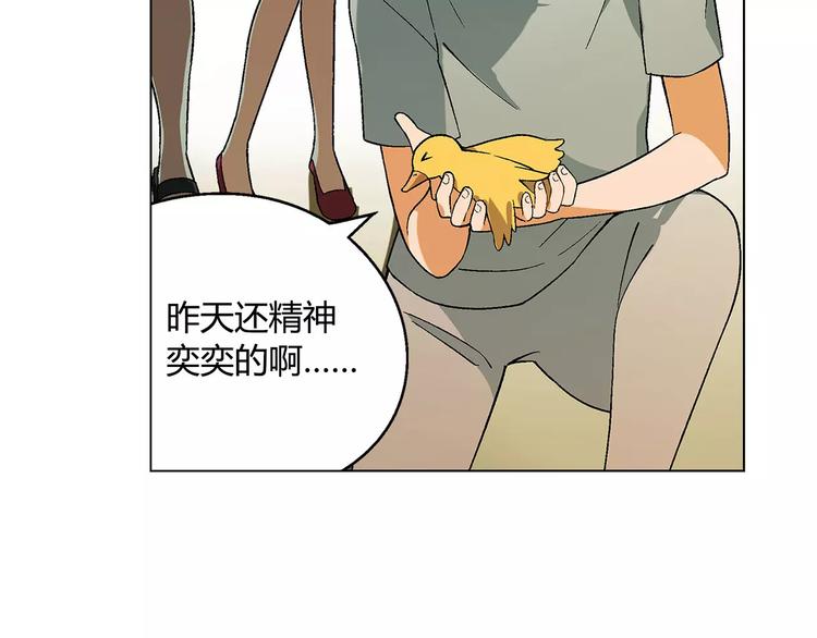 第 41 页