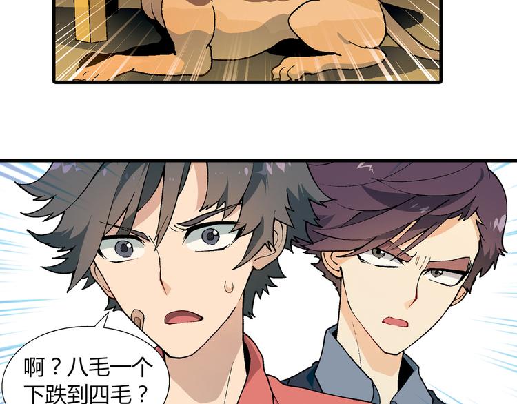 第 51 页