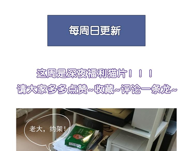 第 84 页