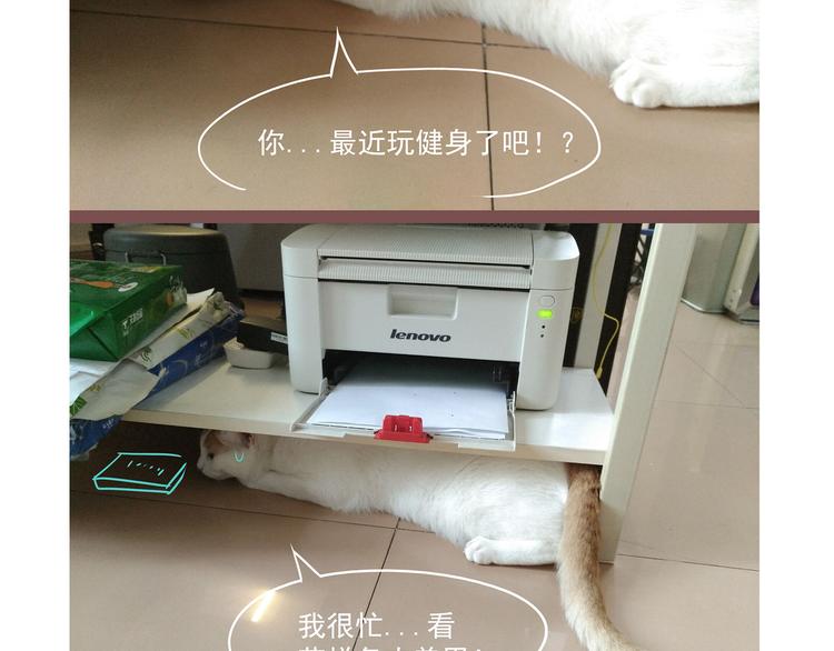 第 86 页