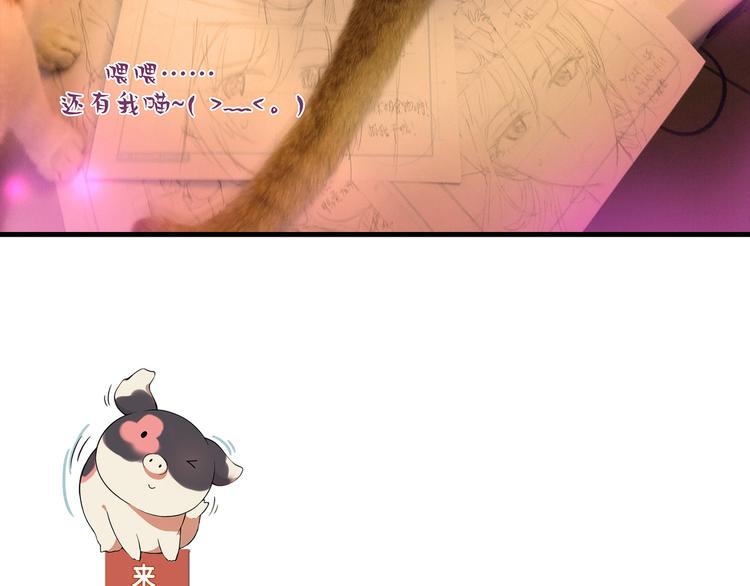 第 91 页