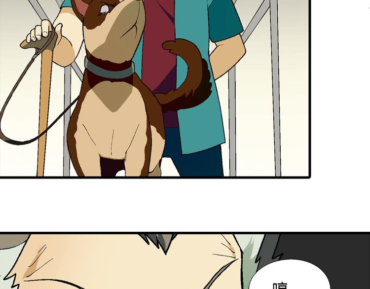 第 34 页