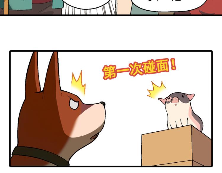 第 45 页