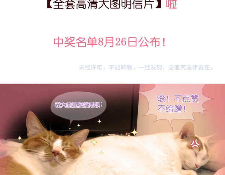 第 84 页