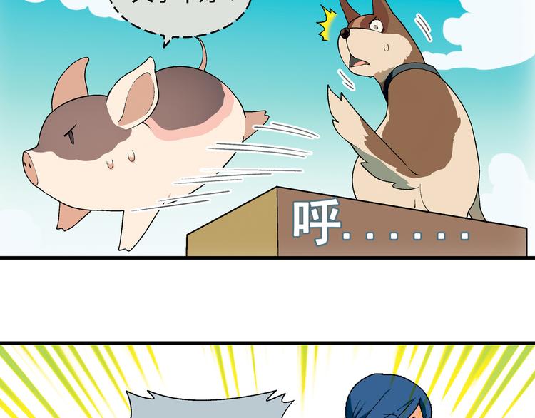第 51 页