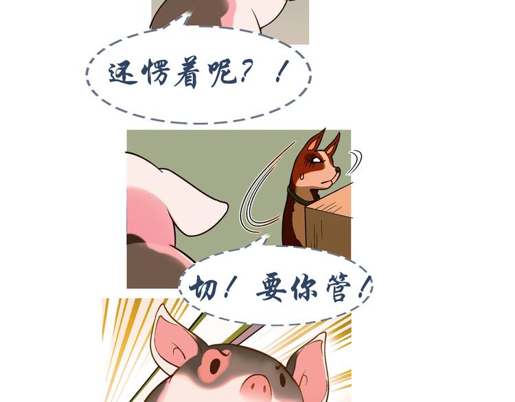 第 91 页