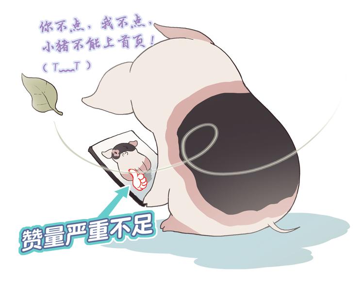 第 81 页