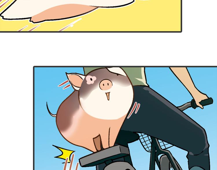 第 66 页