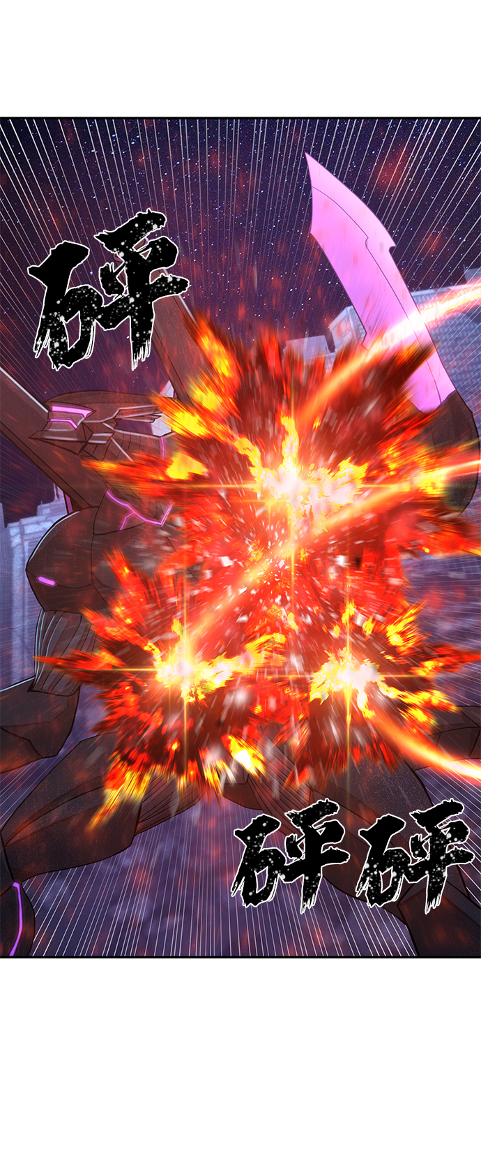第 113 页