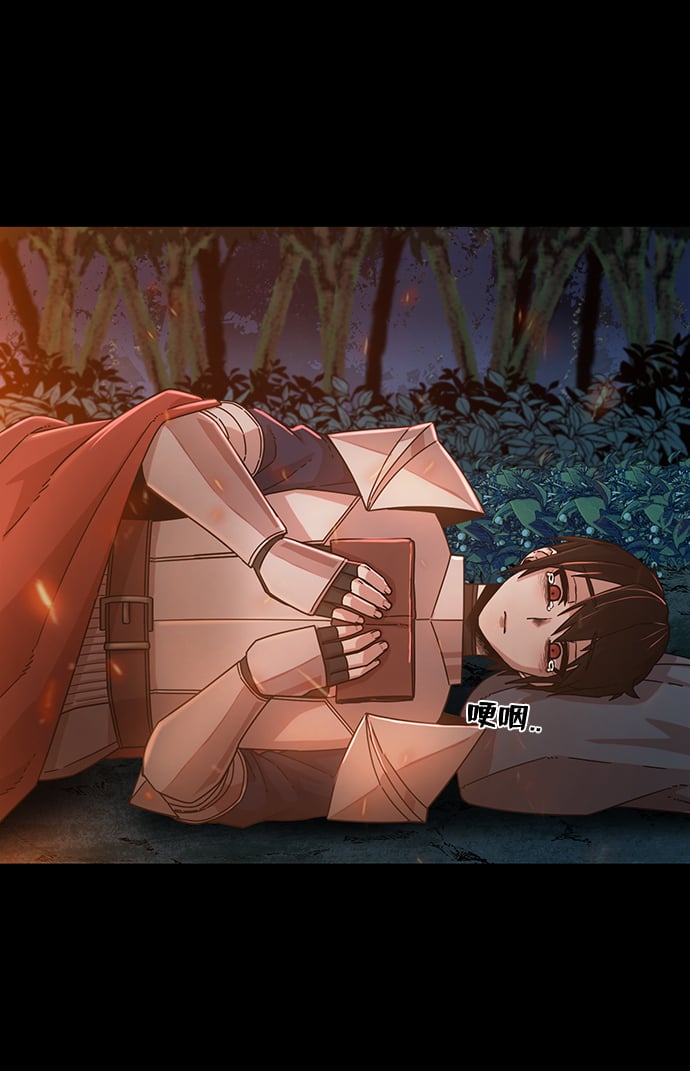第 41 页