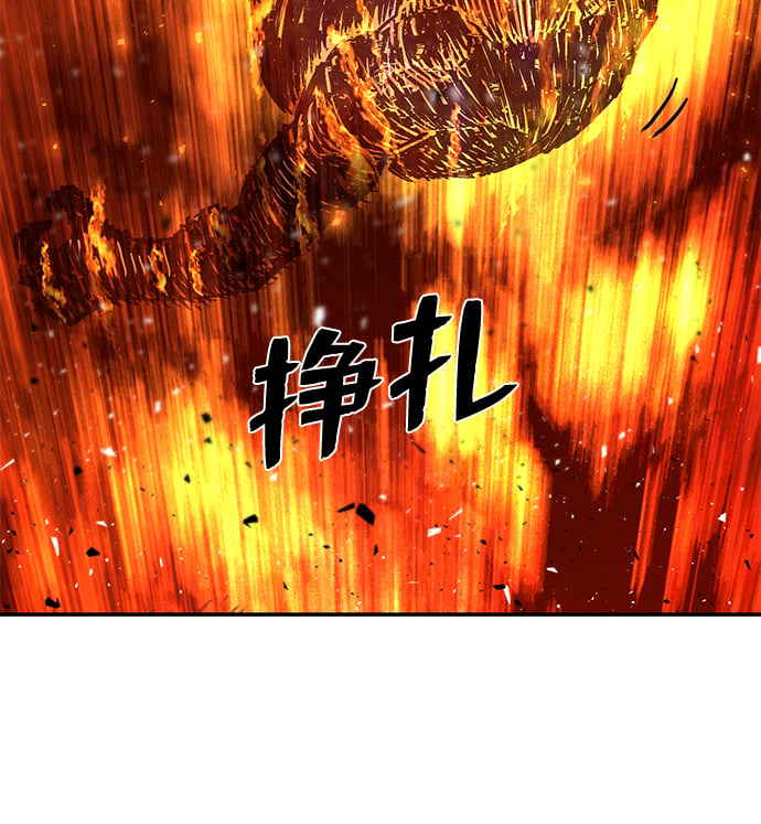第 118 页