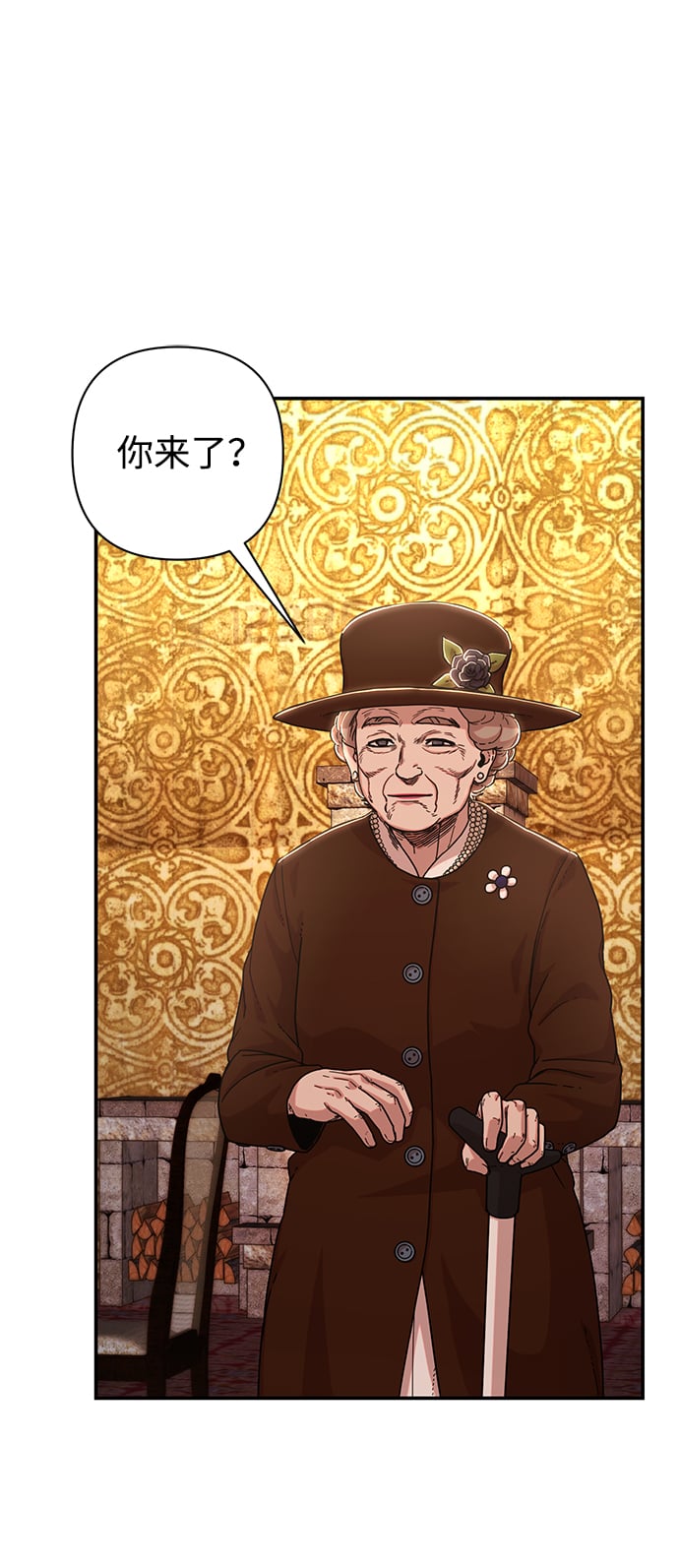 第 111 页