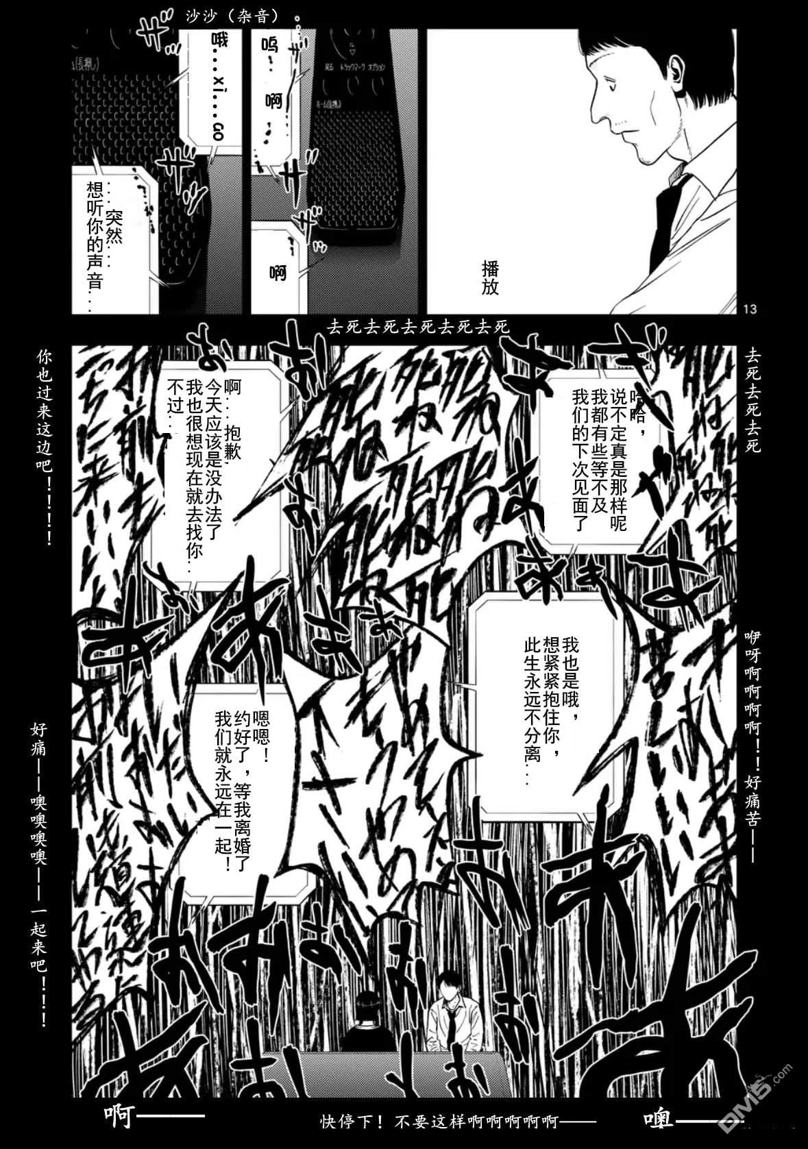 第 13 页