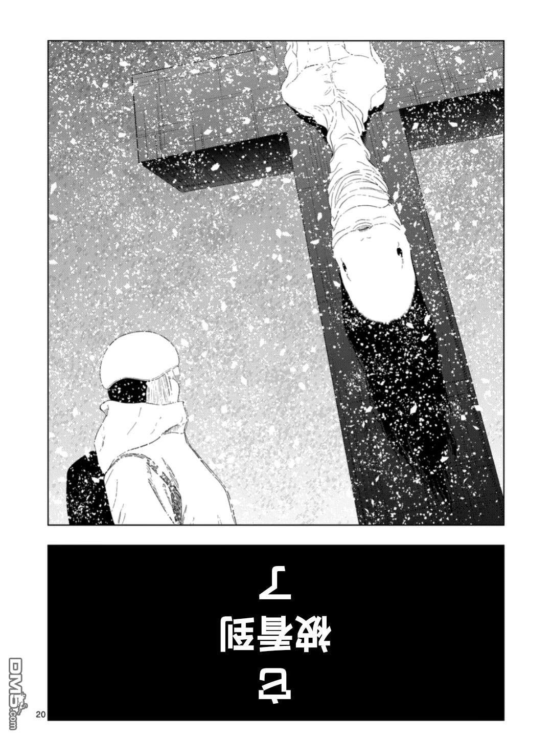 第 20 页