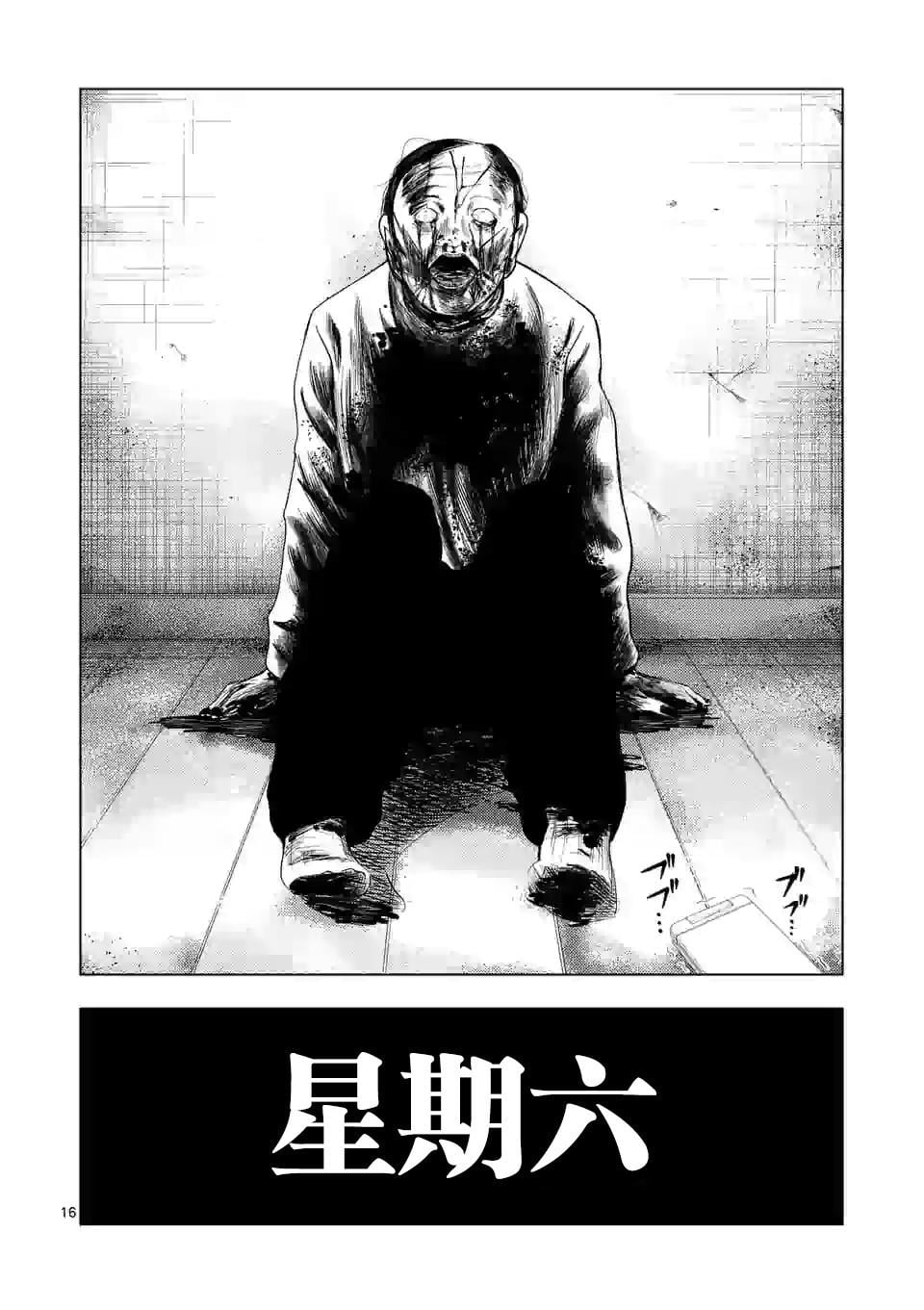 第 17 页
