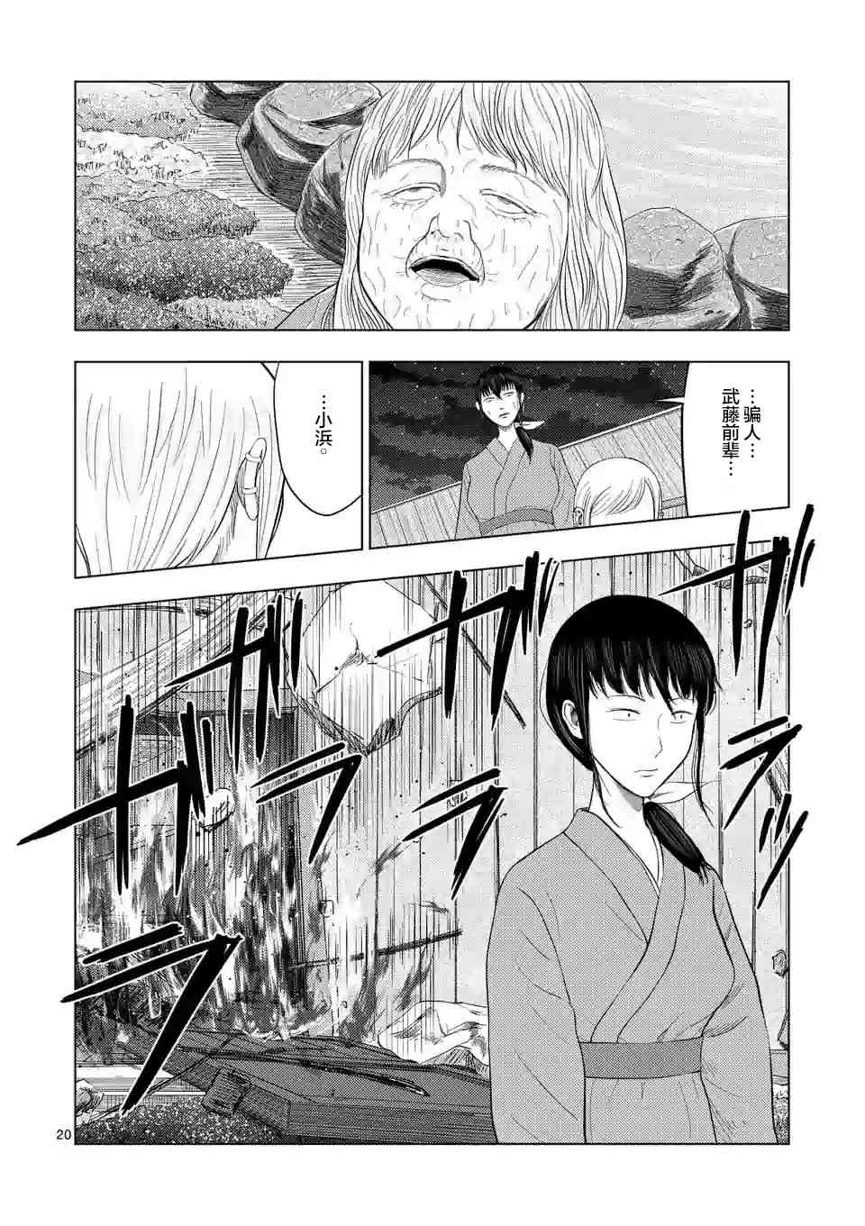 第 20 页