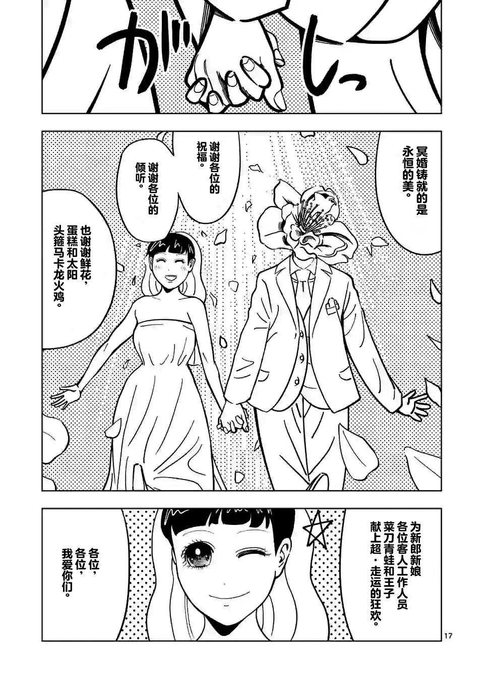 第 17 页