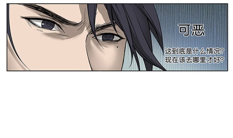 第 95 页