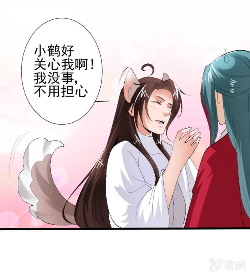 第 33 页