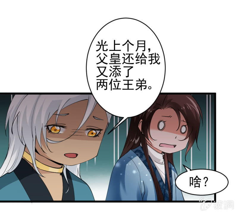 第 13 页