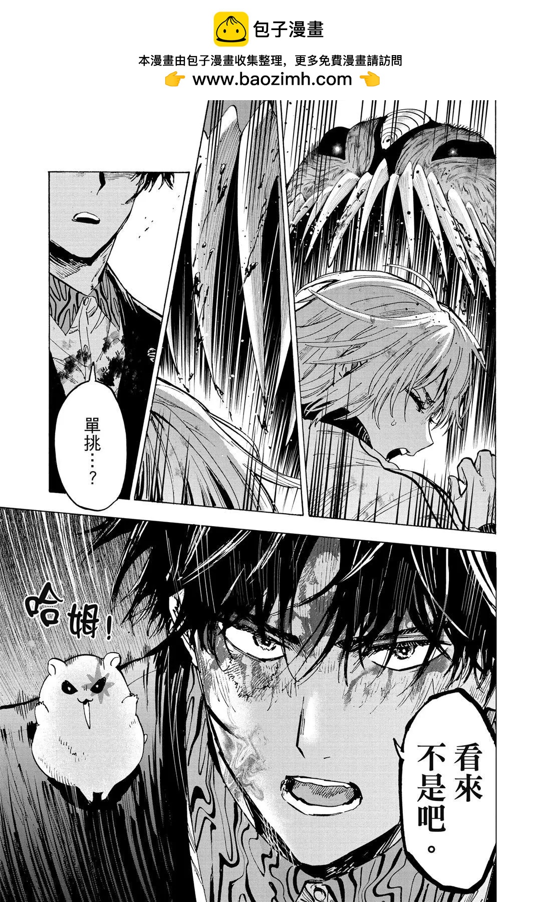 第 33 页