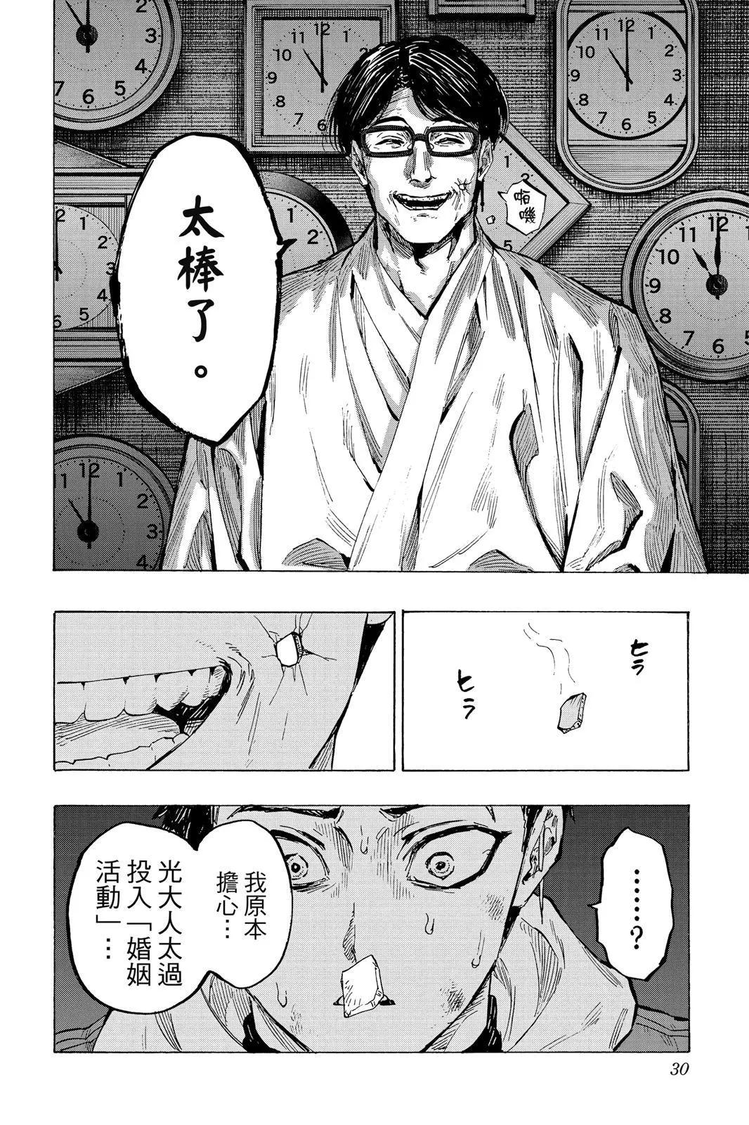 第 30 页