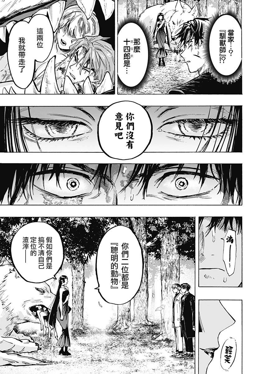 第 17 页