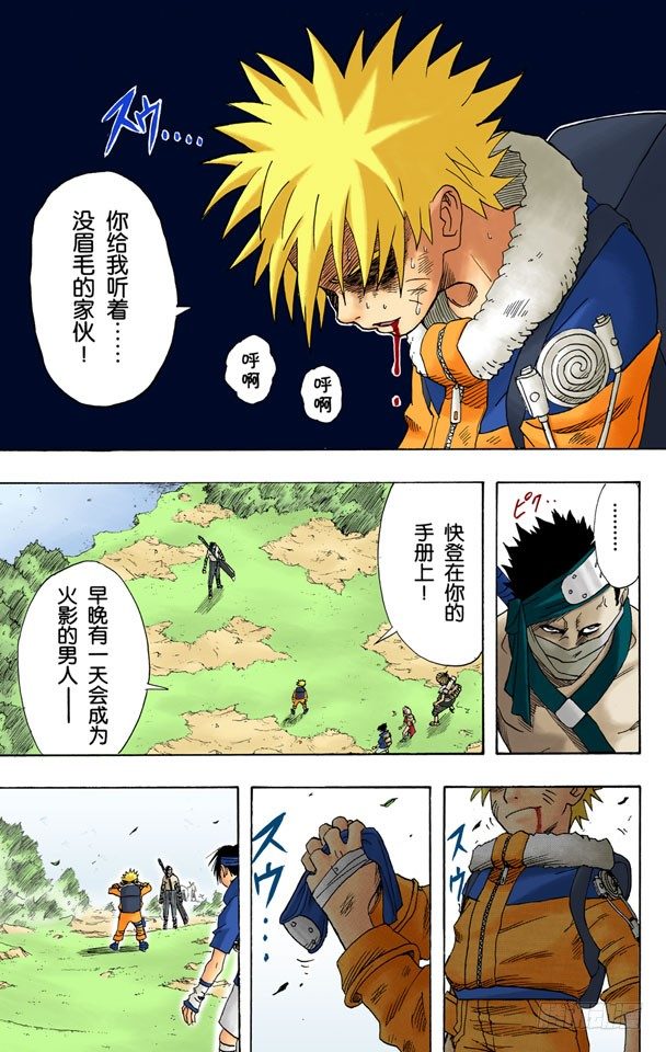 第 17 页