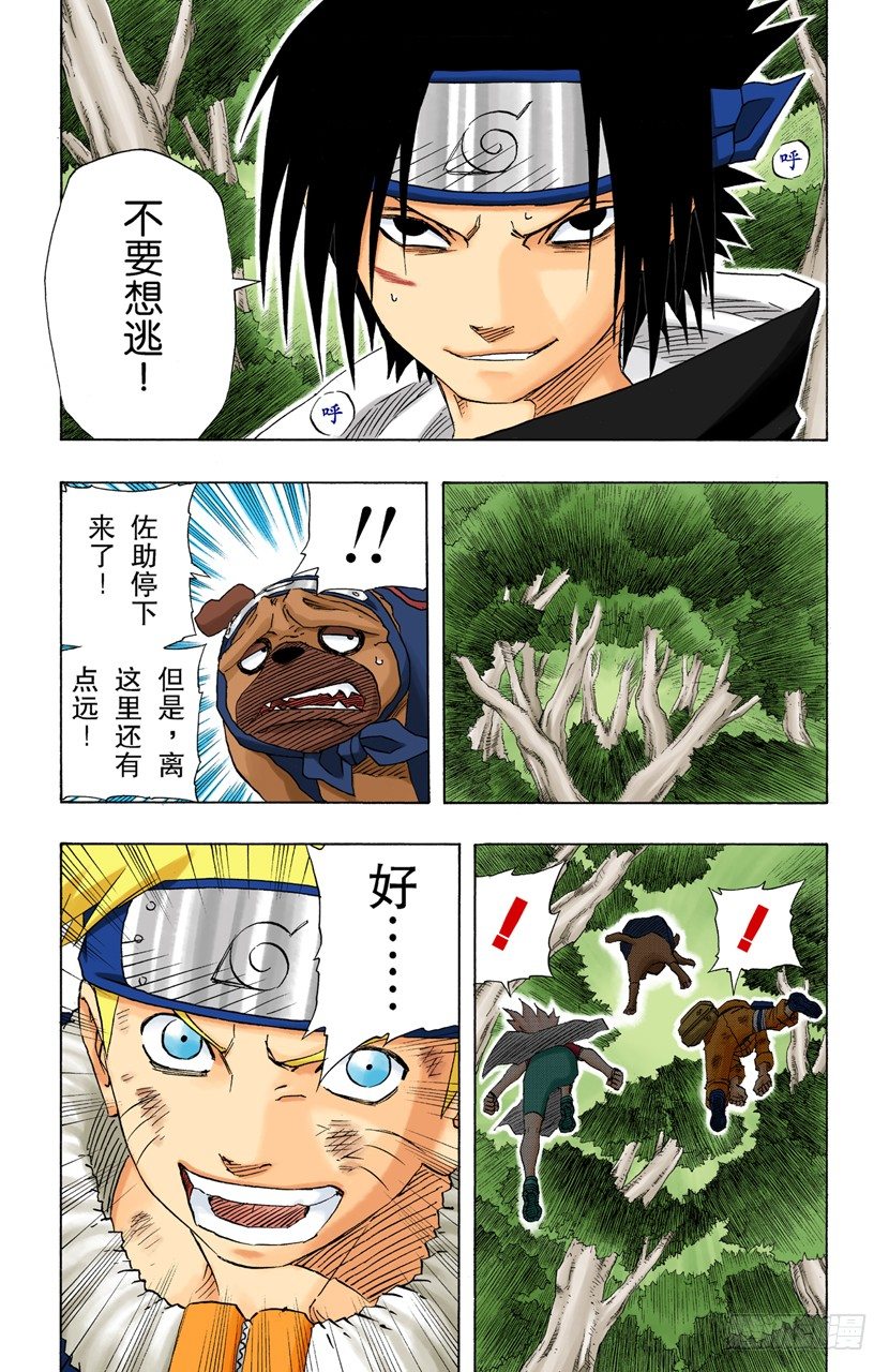 第 15 页