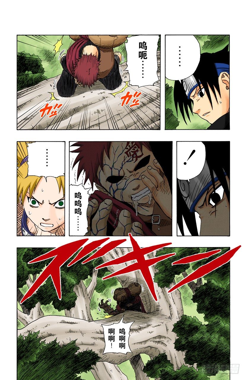 第 17 页