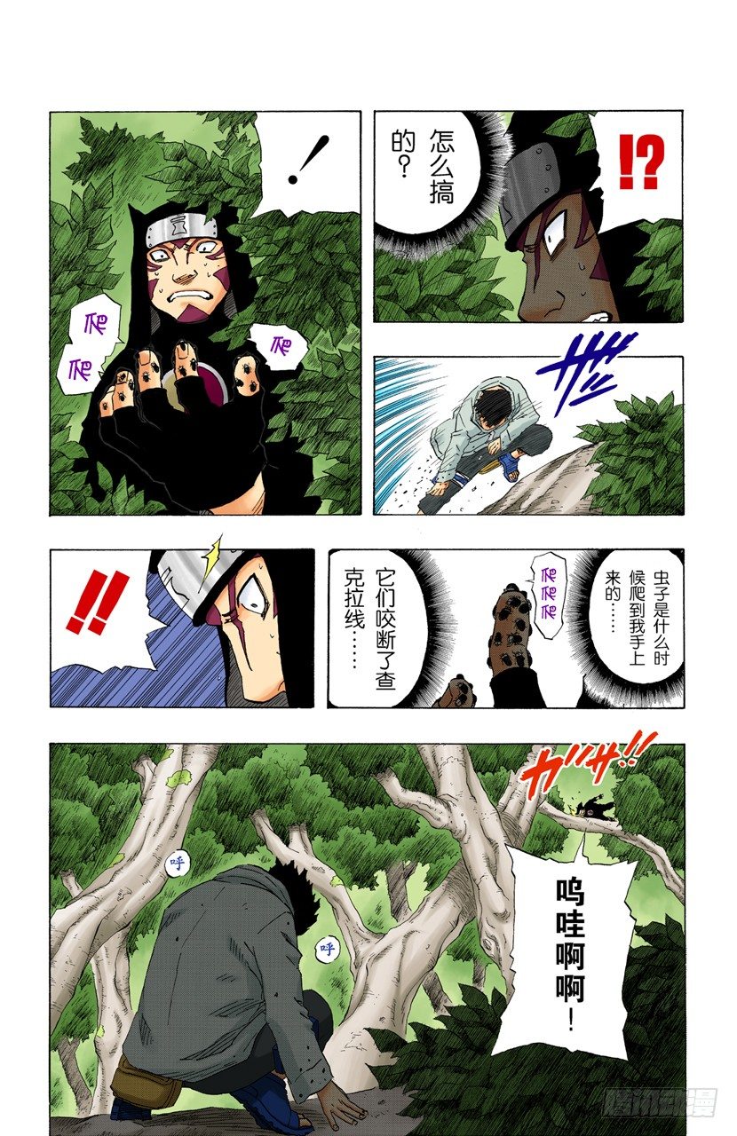 第 17 页