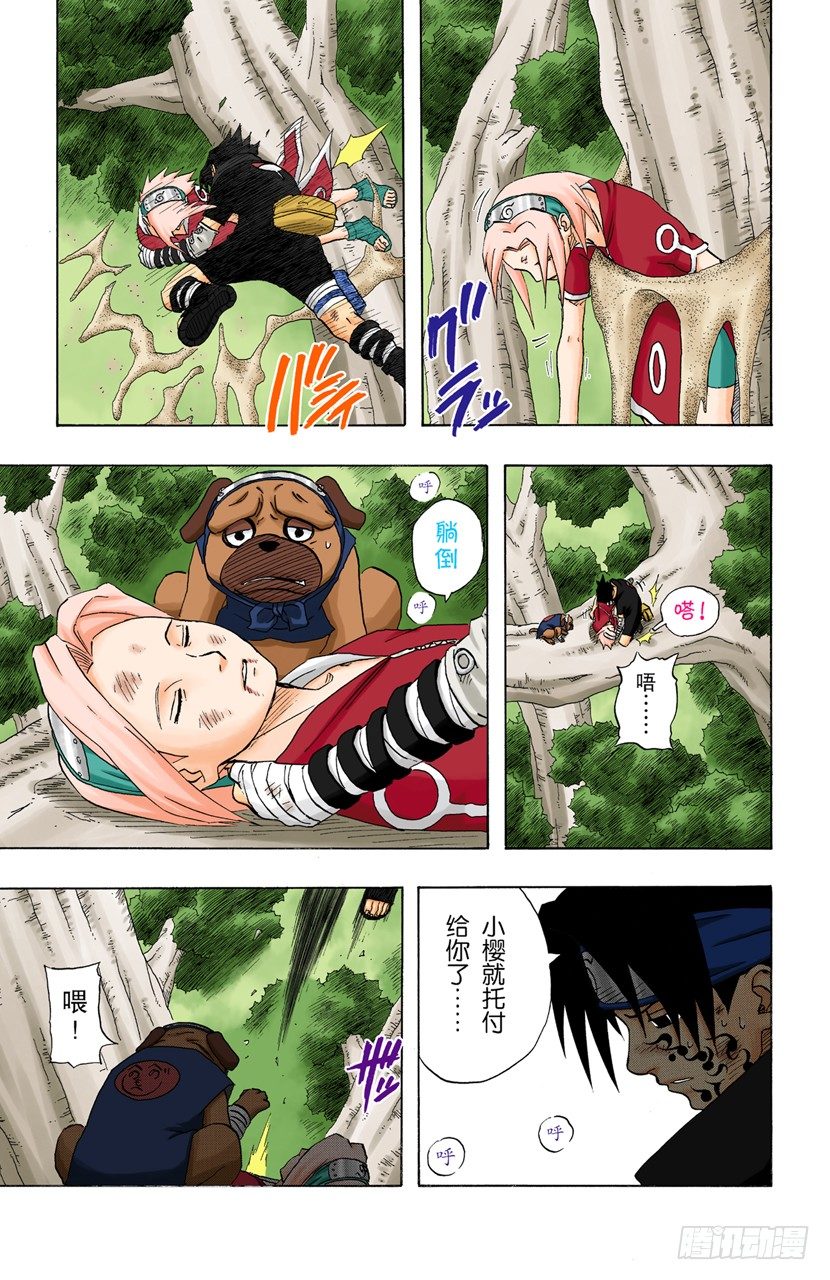 第 11 页