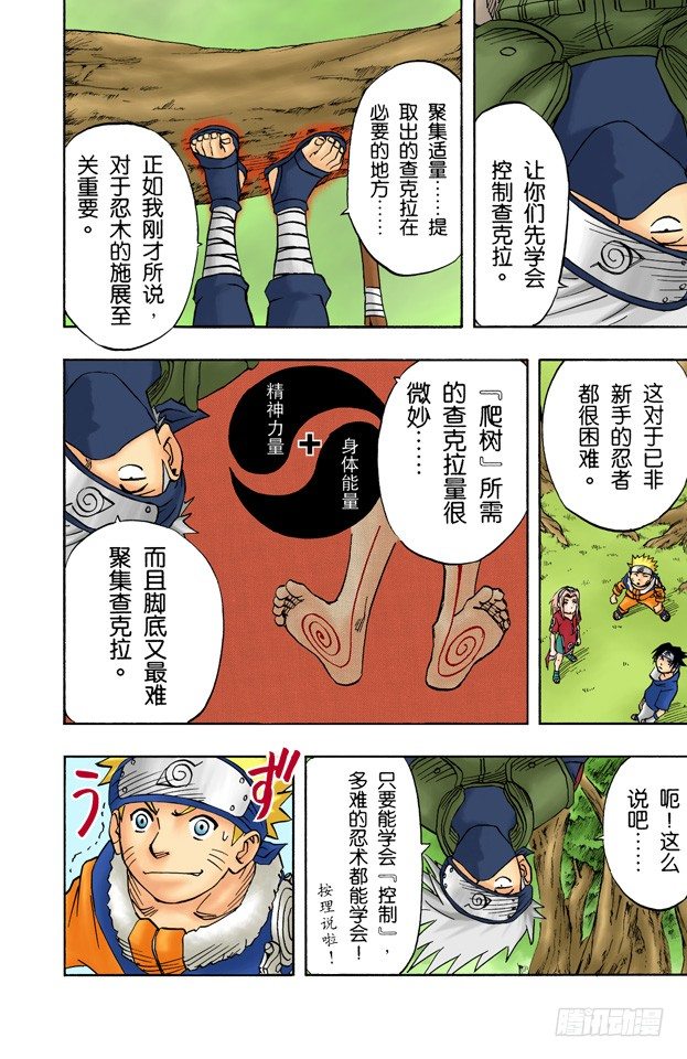 第 5 页